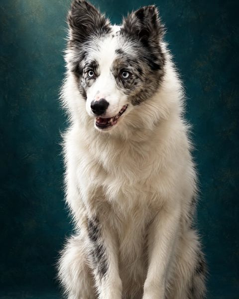 The spotlight, an example portrait